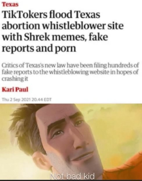 TikTokkers Are Trolling Texas Anti-Abortion Whistleblower Website With Shrek  Porn