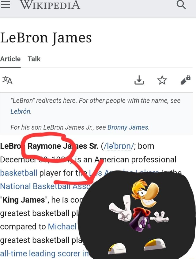 LeBron James, Basketball Wiki