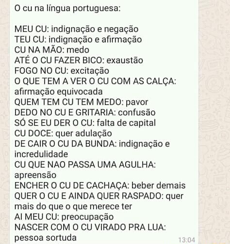 Mesmo Significado de cu na língua Mineira TEU CU CU NA MÃO FOGO NO CU  Mentira