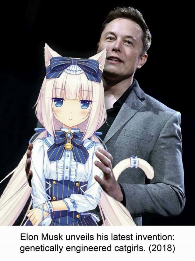 Elon Musk Promised us Cat Girls! 