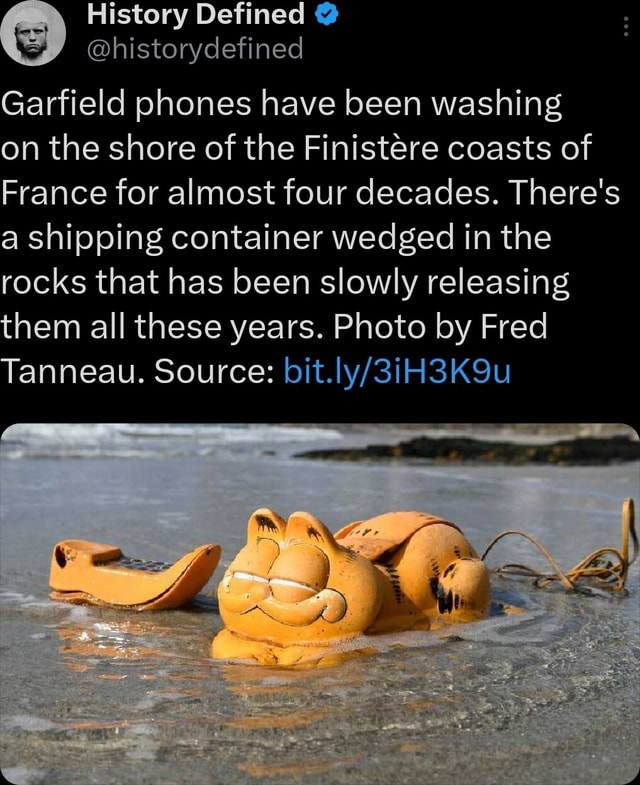 History Defined @ Garfield phones have been washing on the shore of the ...