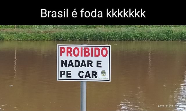 Brasileiro é foda kkkkkk #brasil #editsdecarros #cars #edits