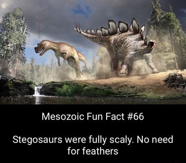 Mesozoic Fun Fact #66 Stegosaurs Were Fully Scaly. No Need For Feathers 