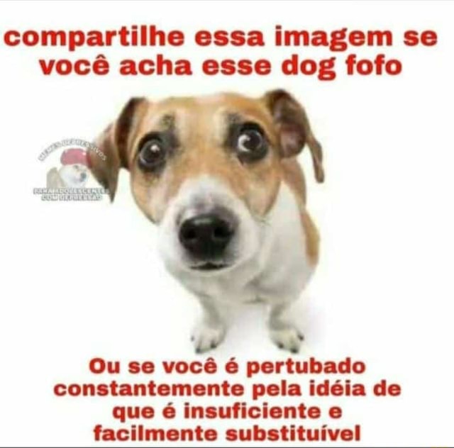 Você é FOFO? Ou SUPER FOFO?