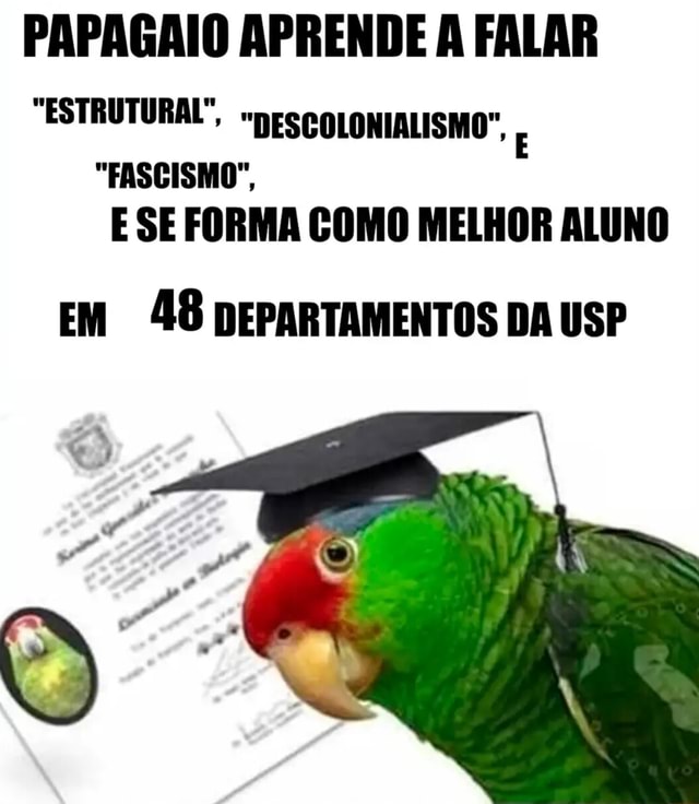 PAPAGAIO APRENDE A FALAR 