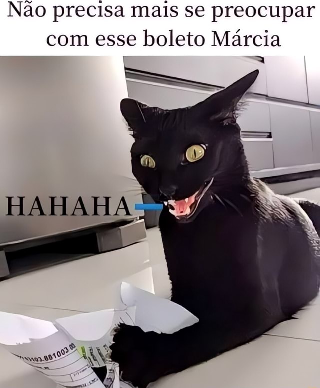 Fificat — Só pra não acabar o ano sem algum desenho novo. 😸