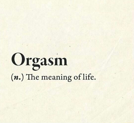 Orgasm n. The meaning of life. iFunny Brazil