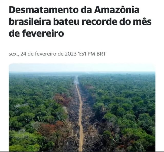 Desmatamento Da Amazônia Brasileira Bateu Recorde Do Mês De Fevereiro Sex 24 De Fevereiro De 5495