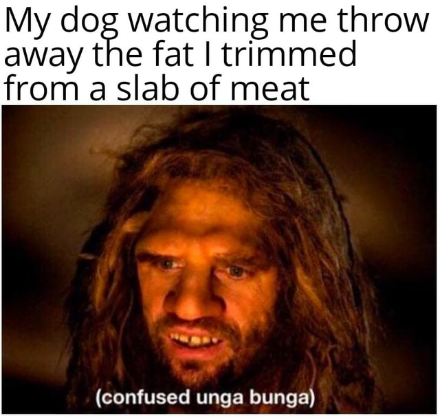 My dog watching me throw away the fat trimmed from a slab of meat