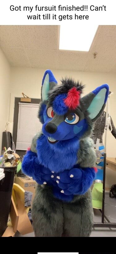 Got My Fursuit Finished Can T Wait Till It Gets Here Ifunny Brazil Got My Fursuit Finished Can T Wait Till It Gets Here Ifunny Brazil