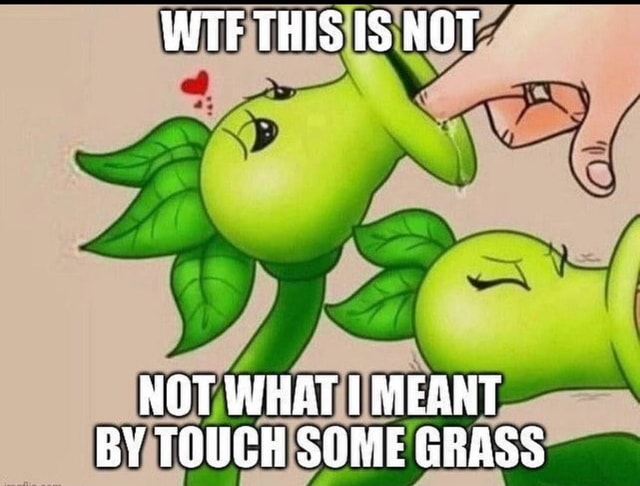 WTF THIS IS NOT NOT WHAT MEANT BY TOUCH SOME GRASS - iFunny Brazil