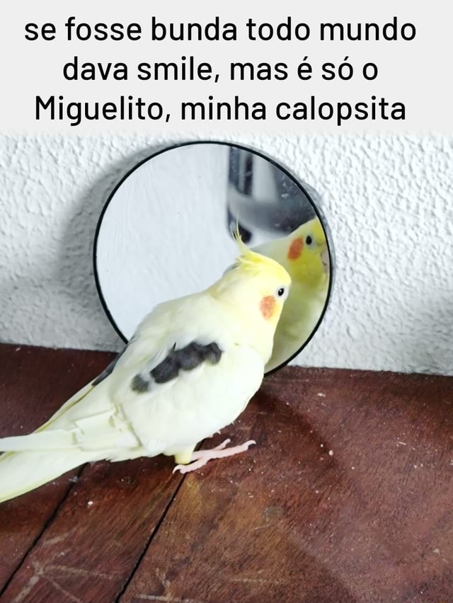 Memes da Vida (Qmemesdavidaofe Minha cabeça o dia todo: Que isso meu filho  calma Ele goooosta CAVALO (Qmemesdavida.ofe - iFunny Brazil