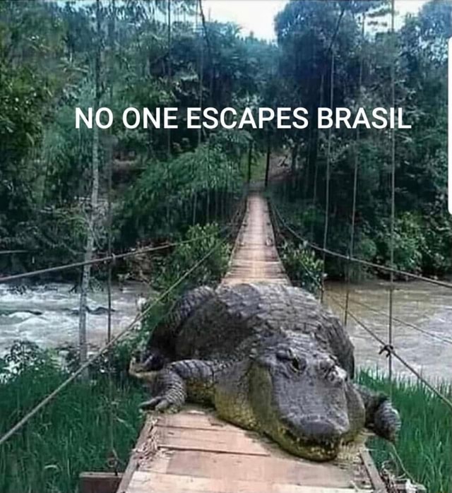 Novo Recorde! 885.702 Toque para continuar - iFunny Brazil