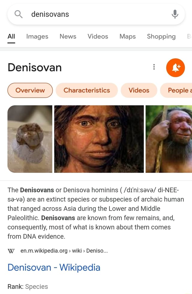 Q. denisovans All Images News Videos Maps Shopping Denisovan ...