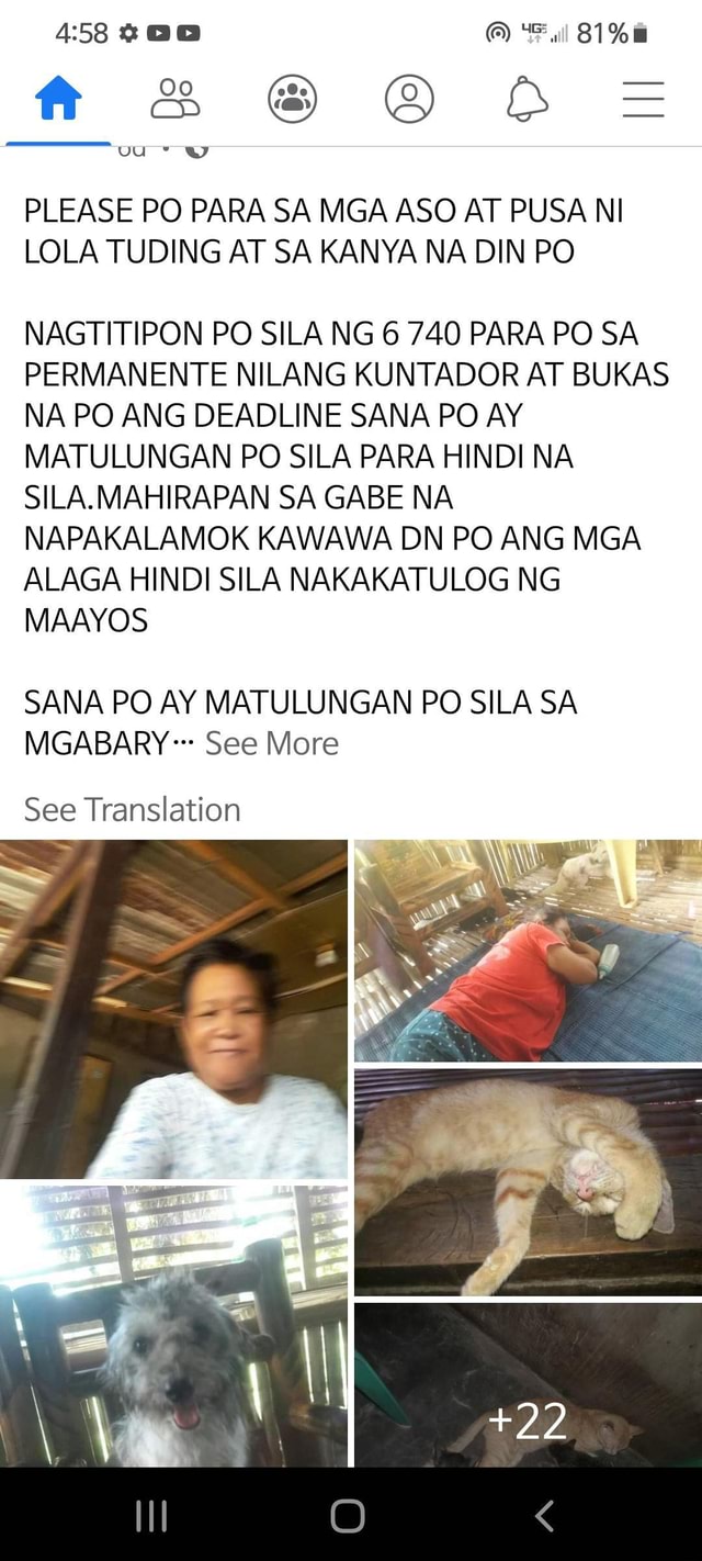 81 Fr Sss Bbb Z Please Po Para Sa Mga Aso At Pusa Ni Lola Tuding At Sa Kanya Na Din Po 1555