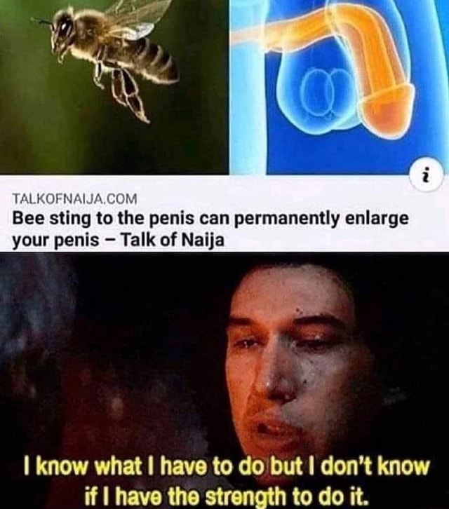 Bee sting to the penis can permanently enlarge your penis Talk