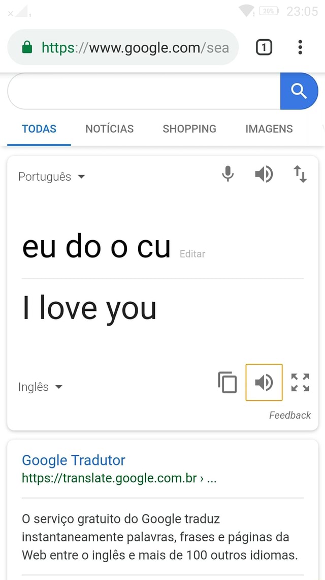 Google Tradutor Inglês x Português x Inglês