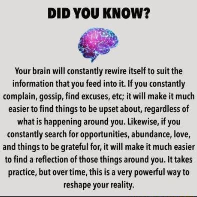 Your Brain Will Be Grateful