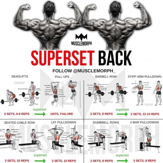 MEX MUSCLEMORPH FOLLOW MUSCLEMORPH DEADLIFTS PULL UPS BARBELL ROW mex-musclemorph-follow-musclemorph-deadlifts-pull-ups-barbell-row