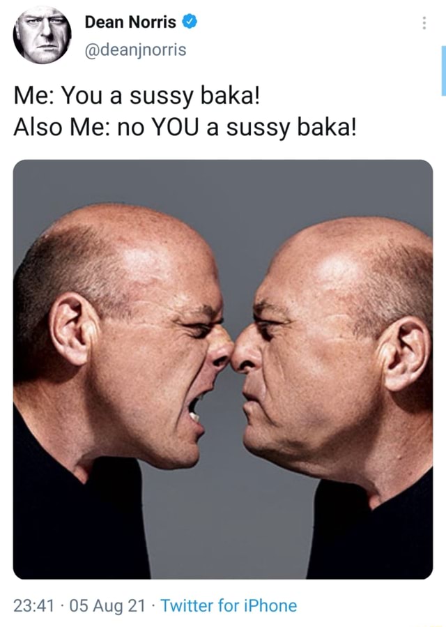 Dean Norris on X: Me: You a sussy baka! Also Me: no YOU a sussy baka!   / X