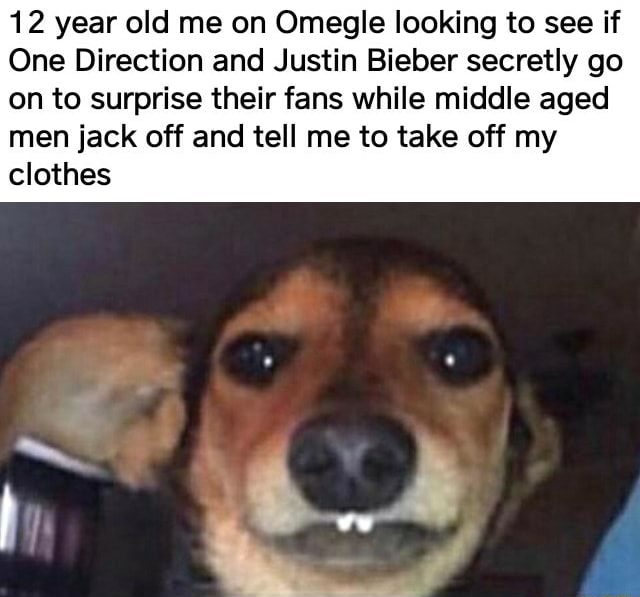 12 year old me on Omegle looking to see if One Direction and Justin Bieber secretly go on to surprise their fans while middle aged men jack off and tell me to take off my clothes 
