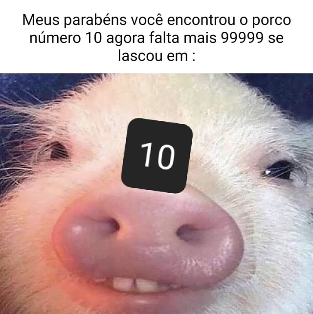 Parabéns Você encontrou 0 John Pork porco número 69 - iFunny Brazil