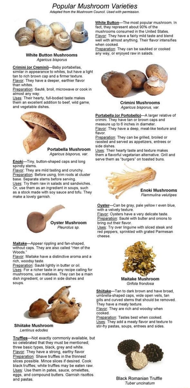 Popular Mushroom Varieties Adapted from the Mushroom Council. Used with ...