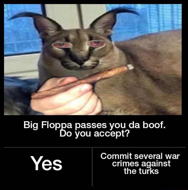 Big Floppa offers you a watermelon. Will you accept this? commit war crimes  YES anainct Carhia - iFunny Brazil