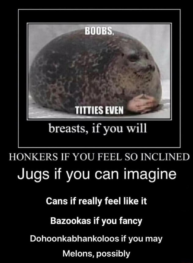 BOOBS, breasts, if you will HONKERS IF YOU FEEL SO INCLINED Jugs if you can  imagine Cans if really feel like it Bazookas if you fancy  Dohoonkabhankoloos if you may Melons, possibly - Melons, possibly - iFunny  Brazil