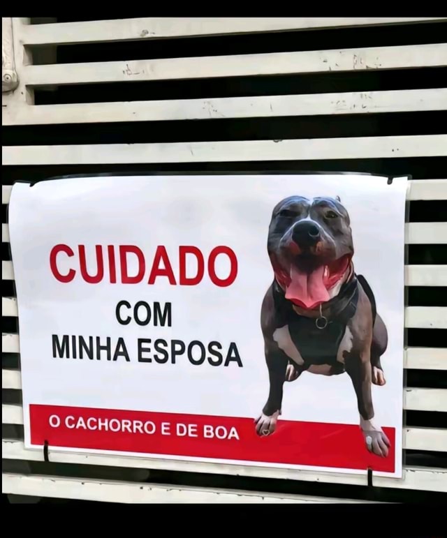 Cuidado Com Minha Esposa O Cachorro E De Boa Ifunny Brazil