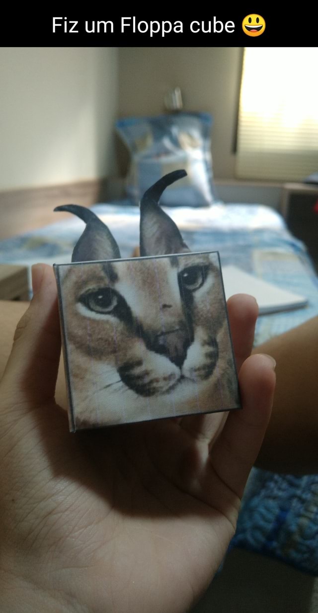 Fiz um Floppa cube - iFunny Brazil