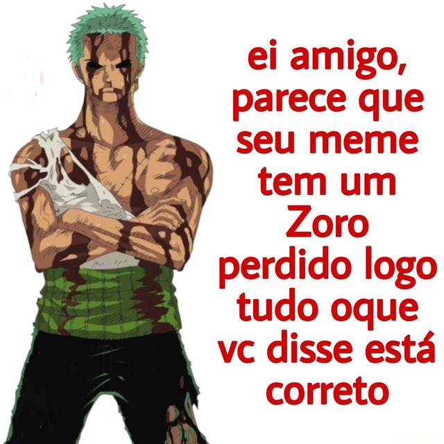 Quase todo dia o Zoro perdido no universo - Sim amigos, ele sola