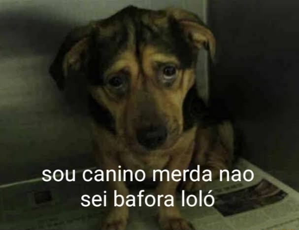 E AR sou canino merda n sei bafora loló - iFunny Brazil