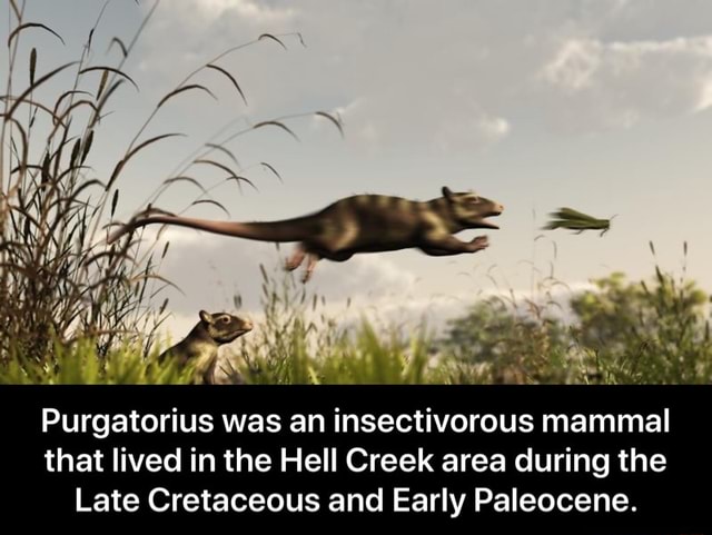 Purgatorius was an insectivorous mammal that lived in the Hell Creek ...