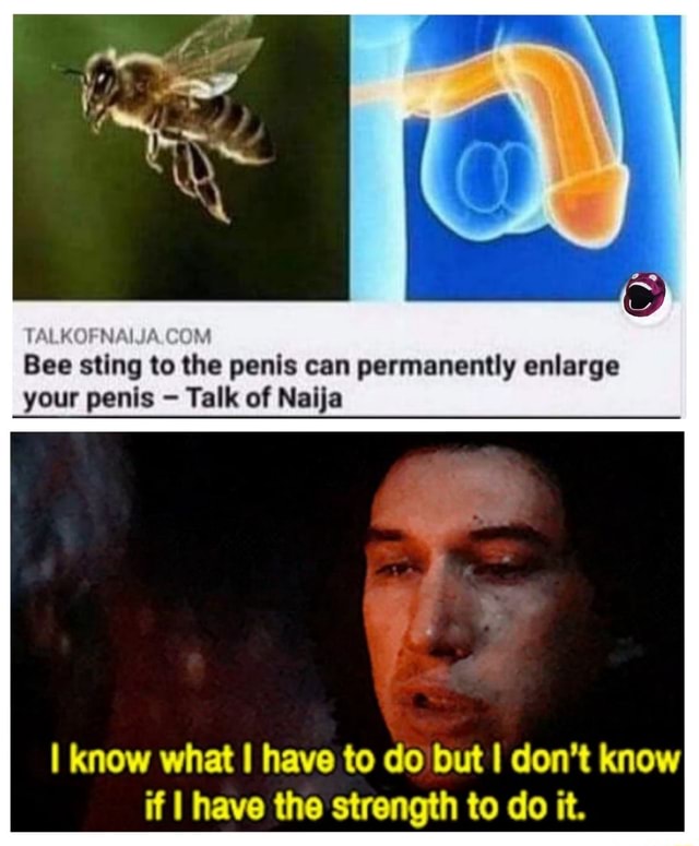 TA KO Bee sting to the penis can permanently enlarge your penis