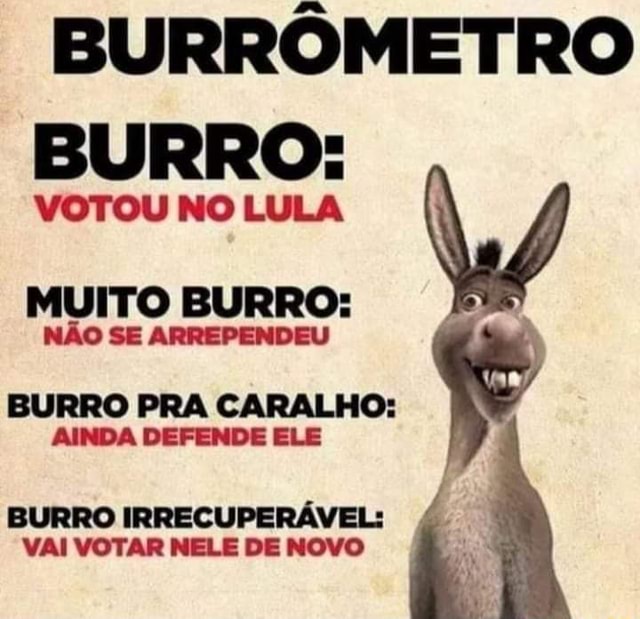 Eu não carrego essa burrice #fy #nordeste_comedia #lulapreso