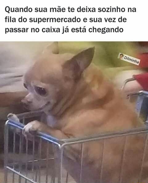 DE BOA AQUI ESPERANDO MINHA VEZ NA FILA - Meme 