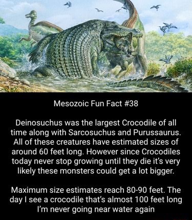 Deinosuchus, Deinosuchus Facts