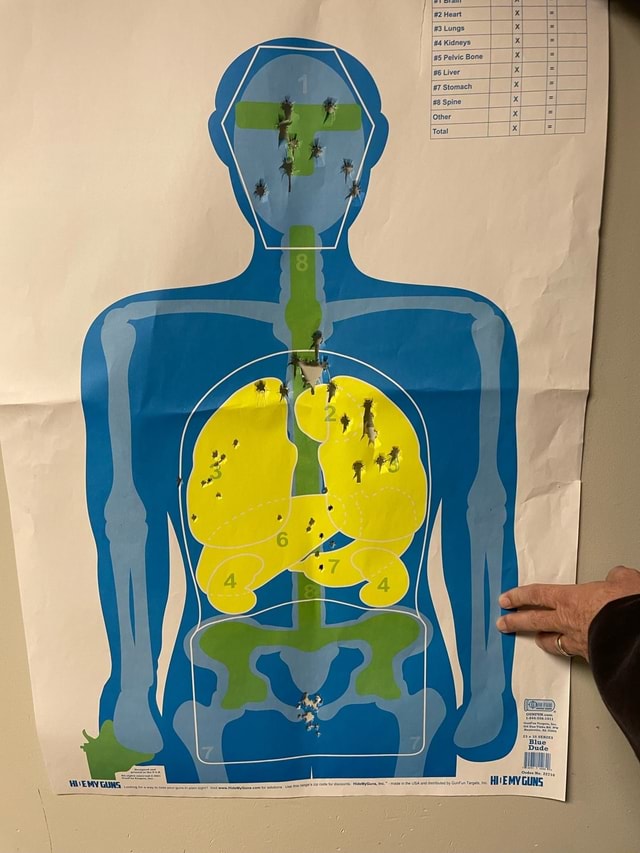 2 Heart 3 Lungs Kidneys 5 Pelvic Bone I Liver 7 Stomach Spine