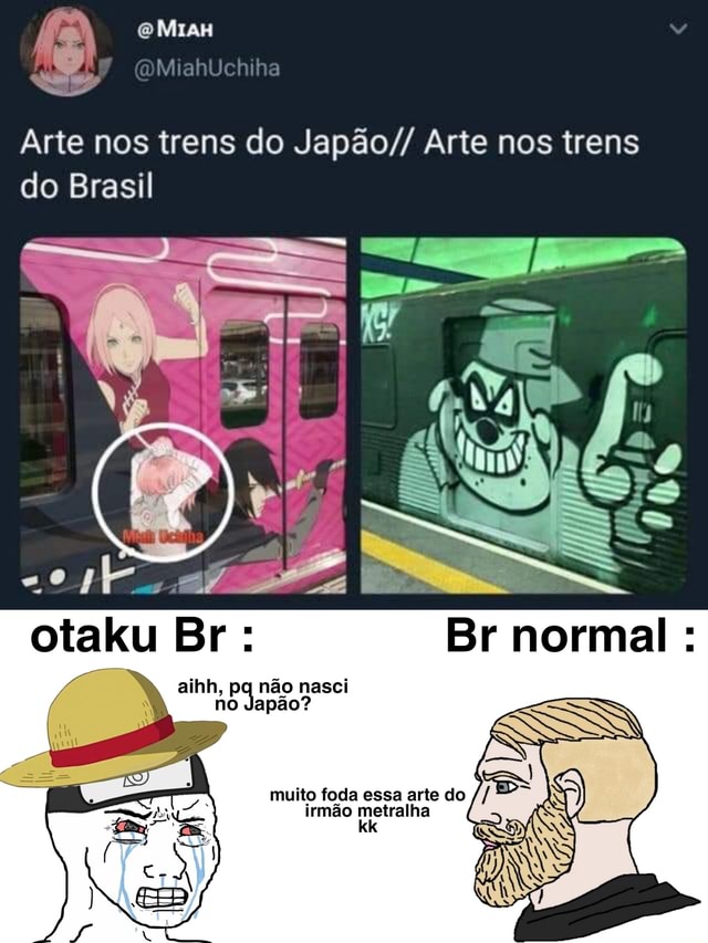 Literalmente  Memes Hu3 BR Amino