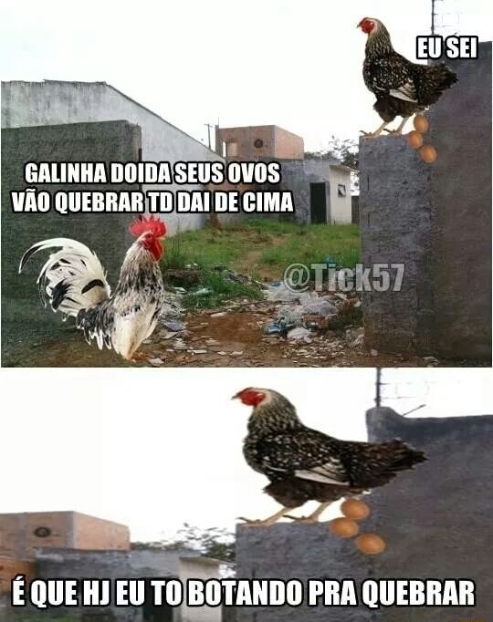 JOGO DA GALINHA Não olhe para essa galinha, @ZueroBROficial