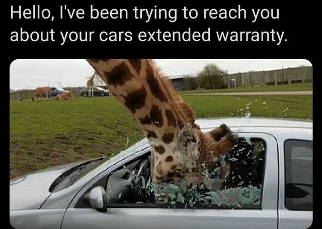 Hello I ve been trying to reach you about your cars extended