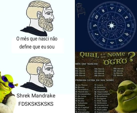 O ms que nasci nao define que eu sou Qual NOME Shrek Mandrake FDSKSKSKSKS -  iFunny Brazil