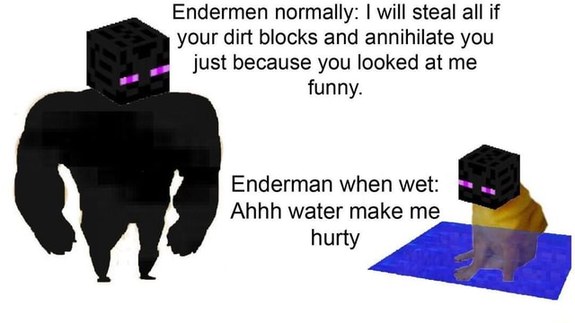 Thought I'd try something a little different for the enderman : r/Minecraft