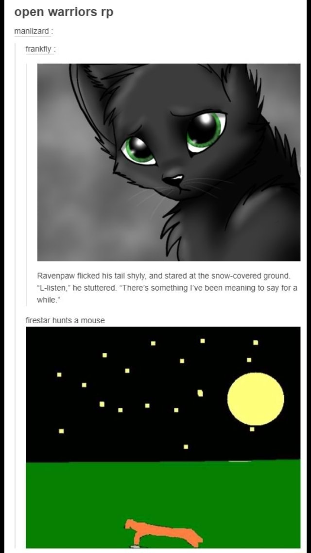 Is Ravenpaw Any Good? (Warrior Cats Analysis) 