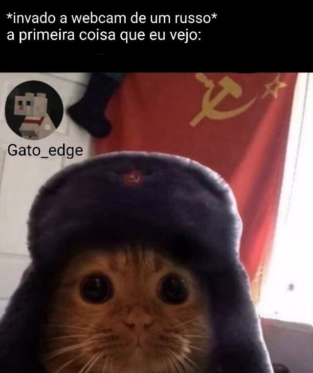 Google Q, significado soca fofo Todas Imagens Vídeos Notícias Maps Shop  Russo E Português MuNbIe Cado x milyye sabo tamancos bonitos Xa Tradução  em tempo real Feedback O)  tytofm  g