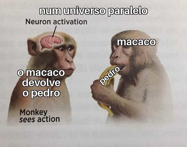 Um homem paralisado está desafiando o macaco da empresa Neuralink