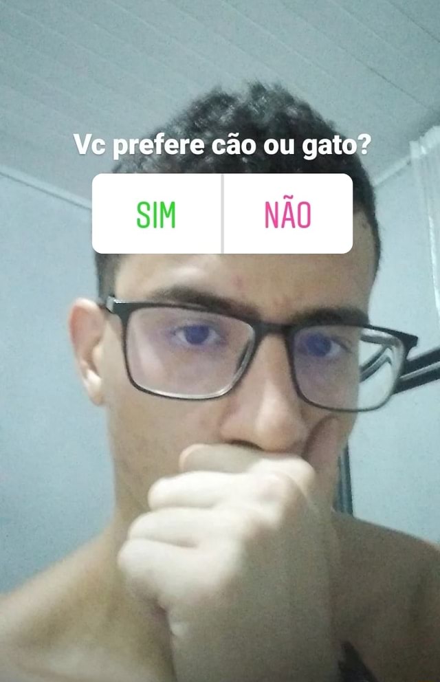 Ve prefere cão ou gata? SIM NÃO I - iFunny Brazil