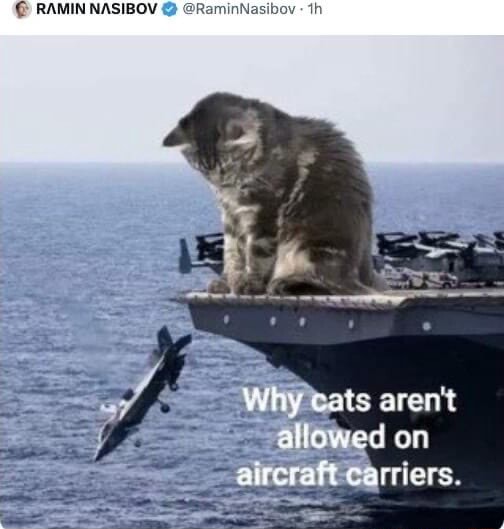 Why cats aren't attowed on aircraft carriers - iFunny Brazil