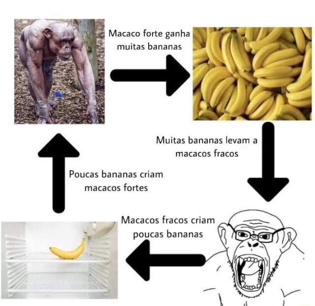 Ludopedia, Fórum, Colete mais bananas para vencer em Pula Macaco